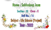 School Font Page Style #5